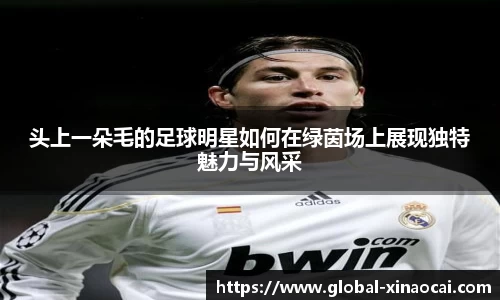 头上一朵毛的足球明星如何在绿茵场上展现独特魅力与风采