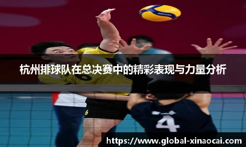 杭州排球队在总决赛中的精彩表现与力量分析