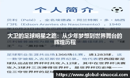 大卫的足球明星之路：从少年梦想到世界舞台的辉煌历程